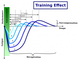 Training effect