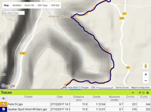 Trace GPS 3D Spartan Sport Wrist HR Baro